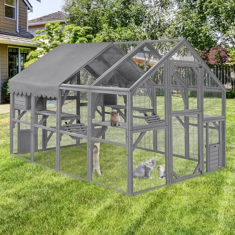 Big outdoor cat clearance house